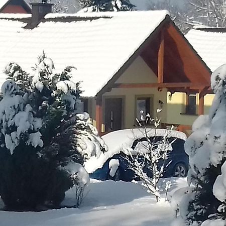 Domki Biosen Villa Podgórzyn Dış mekan fotoğraf